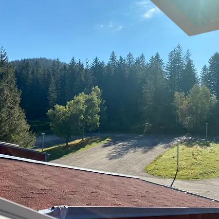 Au P'tit Nid Douillet De Lea Apartment