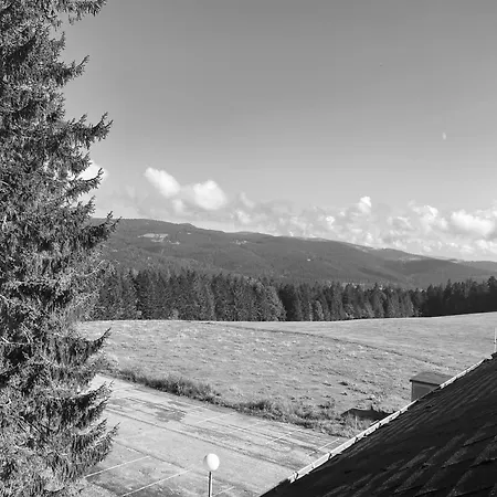 Au P'tit Nid Douillet De Lea Apartment Muhlbach-sur-Munster