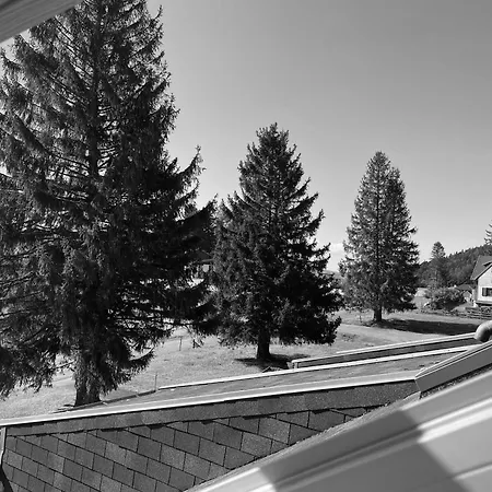 Au P'tit Nid Douillet De Lea * Muhlbach-sur-Munster